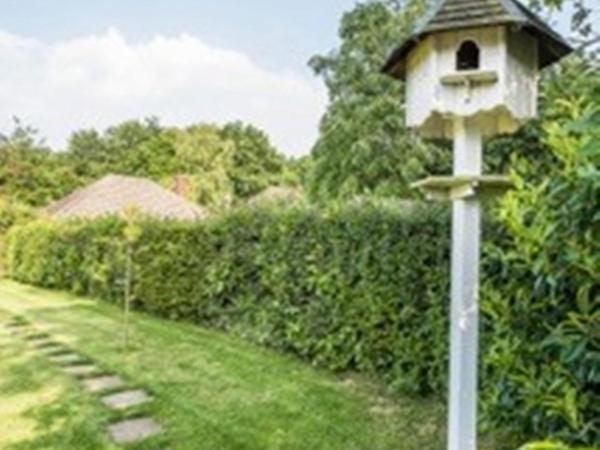 سيفينوكس Knole B&B المظهر الخارجي الصورة